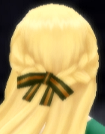 File:Accessory hdn vert military ribbon.png