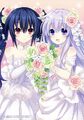 Noire and Nepgear as flower girls (RB2 cloth poster art)