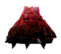 A Volcano Crab (Side View)